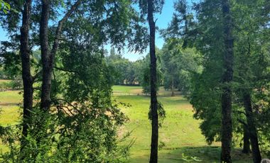 Parcelas En Zona Privilegiada Villarrica  Pucón