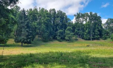 Parcelas En Zona Privilegiada Villarrica  Pucón