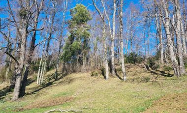 Parcelas En Zona Privilegiada Villarrica  Pucón