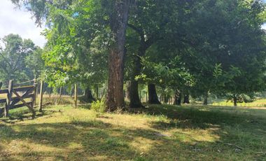 Parcelas En Zona Privilegiada Villarrica  Pucón