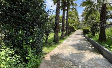 🏡 Casa en venta en Cieneguillas, Atotonilco el Grande, Hidalgo 🌳