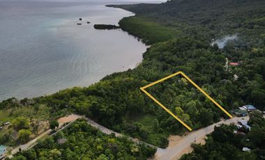 Residential Overlooking Lot for Sale – 5,160 sqm | San Francisco, Camotes Island, Cebu