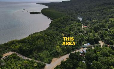 Residential Overlooking Lot for Sale – 5,160 sqm | San Francisco, Camotes Island, Cebu
