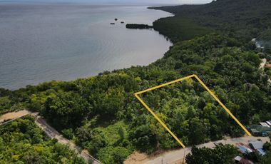 Residential Overlooking Lot for Sale – 5,160 sqm | San Francisco, Camotes Island, Cebu