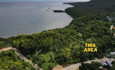 Residential Overlooking Lot for Sale – 5,160 sqm | San Francisco, Camotes Island, Cebu