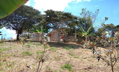 VENTA DE FINCA EN OCACHE, VIJES ID 856