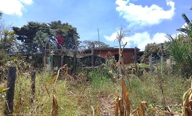 VENTA DE FINCA EN OCACHE, VIJES ID 856