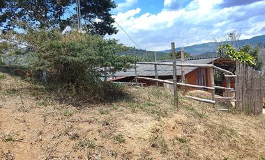 VENTA DE FINCA EN OCACHE, VIJES ID 856