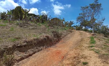 VENTA DE FINCA EN OCACHE, VIJES ID 856