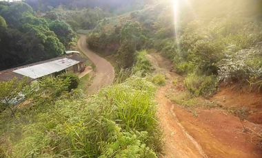 VENTA DE FINCA EN OCACHE, VIJES ID 856