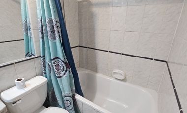Arriendo Departamento Amoblado A Pasos Barrio Italia Y Metro Santa Isabel