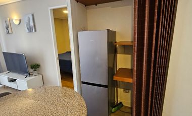 Arriendo Departamento Amoblado A Pasos Barrio Italia Y Metro Santa Isabel