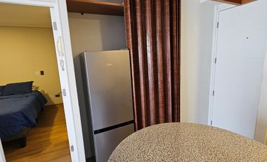 Arriendo Departamento Amoblado A Pasos Barrio Italia Y Metro Santa Isabel