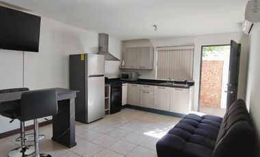 SAN FELIPE LOFT AMUEBLADO DE 1 RECAMARA EQUIPADO