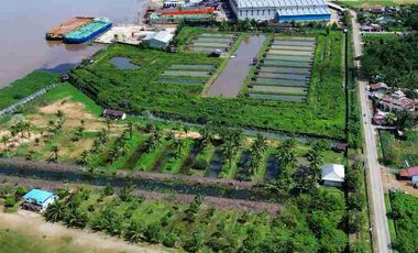 Tanah Luas Tepi Jalan Desa kapur sampai Sungai Kapuas