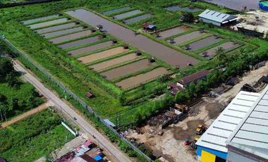 Tanah Luas Tepi Jalan Desa kapur sampai Sungai Kapuas