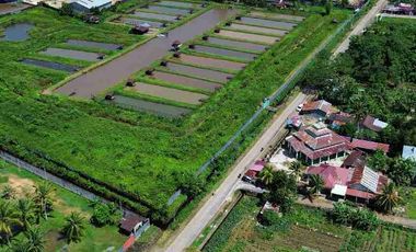 Tanah Luas Tepi Jalan Desa kapur sampai Sungai Kapuas