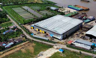 Tanah Luas Tepi Jalan Desa kapur sampai Sungai Kapuas