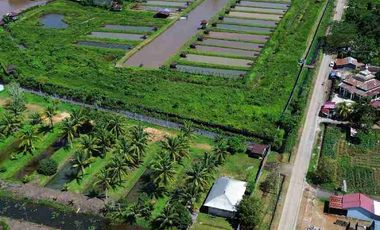 Tanah Luas Tepi Jalan Desa kapur sampai Sungai Kapuas