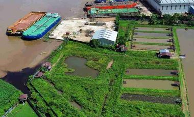 Tanah Luas Tepi Jalan Desa kapur sampai Sungai Kapuas