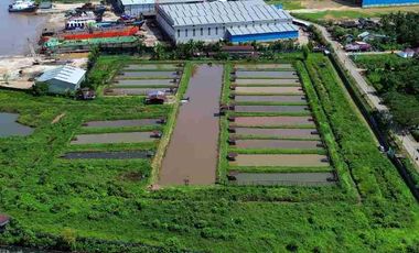 Tanah Luas Tepi Jalan Desa kapur sampai Sungai Kapuas