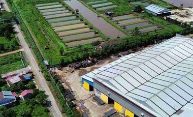 Tanah Luas Tepi Jalan Desa kapur sampai Sungai Kapuas