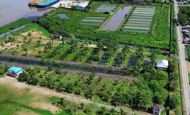 Tanah Luas Tepi Jalan Desa kapur sampai Sungai Kapuas