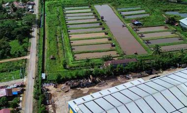 Tanah Luas Tepi Jalan Desa kapur sampai Sungai Kapuas