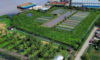 Tanah Luas Tepi Jalan Desa kapur sampai Sungai Kapuas