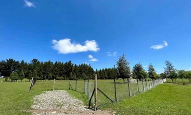 Parcela en Pedregoso - Ribera norte