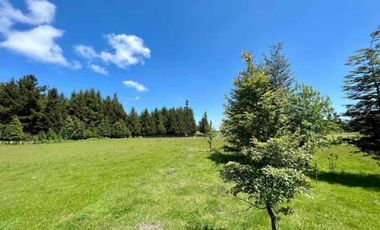 Parcela en Pedregoso - Ribera norte