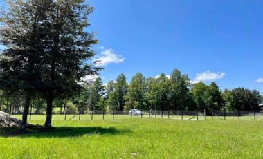 Parcela en Pedregoso - Ribera norte