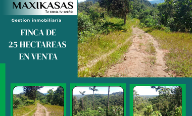 PROPIEDAD AGRICOLA EN VENTA MULTI PROPOSITO