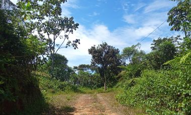 PROPIEDAD AGRICOLA EN VENTA MULTI PROPOSITO
