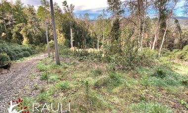 Parcela en Venta de 5.138 m2, Sector Pichihuape