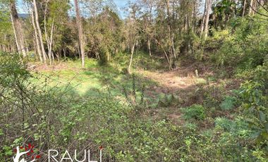 Parcela en Venta de 5.138 m2, Sector Pichihuape