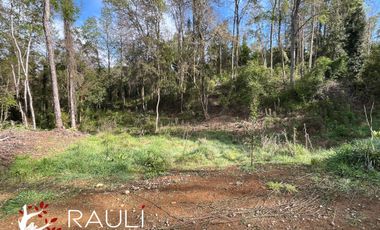 Parcela en Venta de 5.138 m2, Sector Pichihuape