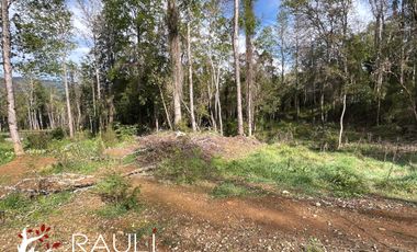 Parcela en Venta de 5.138 m2, Sector Pichihuape