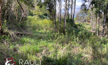 Parcela en Venta de 5.138 m2, Sector Pichihuape