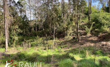 Parcela en Venta de 5.138 m2, Sector Pichihuape