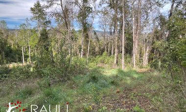 Parcela en Venta de 5.138 m2, Sector Pichihuape