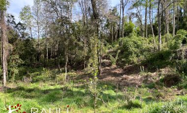 Parcela en Venta de 5.138 m2, Sector Pichihuape