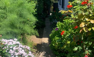 Arrendamos amplia casa cercana a la estación Chorrillos,Viña