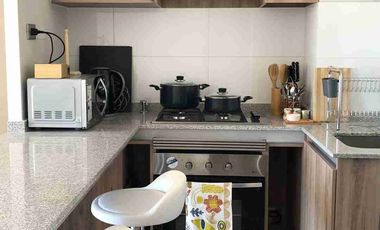 arriendo departamento año corrido impecable amoblado