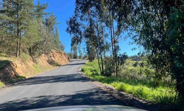 OPORTUNIDAD DE INVERSION