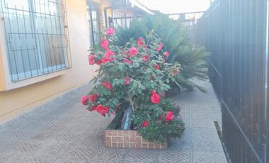 Vendo Casa Villa Van Gogh , Talca V 1674-C-85-GR.10.25