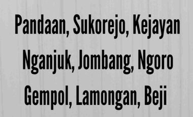 Gudang di Manyar Gresik