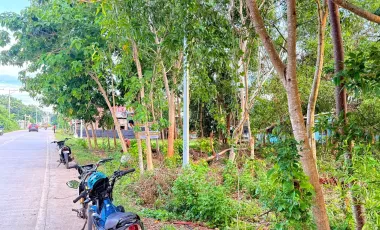 2608 sqm Lot For Sale- Bolod, Panglao