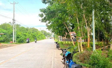 2608 sqm Lot For Sale- Bolod, Panglao