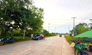 2608 sqm Lot For Sale- Bolod, Panglao